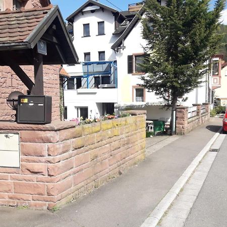 Grosse Wohnung Im Odenwald 1 シェーナウ エクステリア 写真
