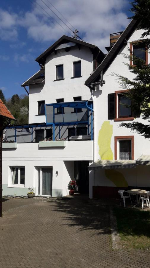 Grosse Wohnung Im Odenwald 1 シェーナウ エクステリア 写真