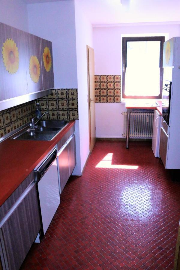 Grosse Wohnung Im Odenwald 1 シェーナウ エクステリア 写真